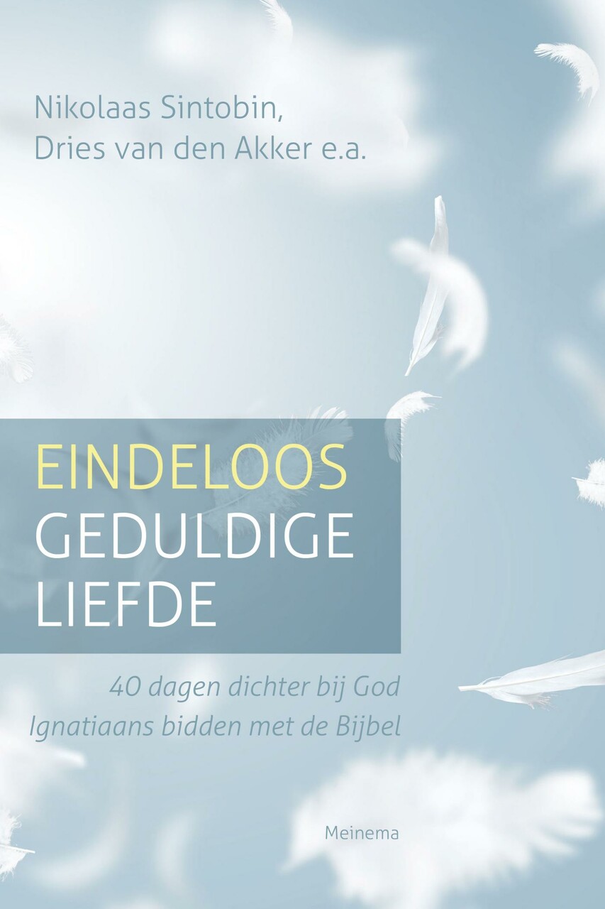 Eindeloos geduldige liefde (e-book)