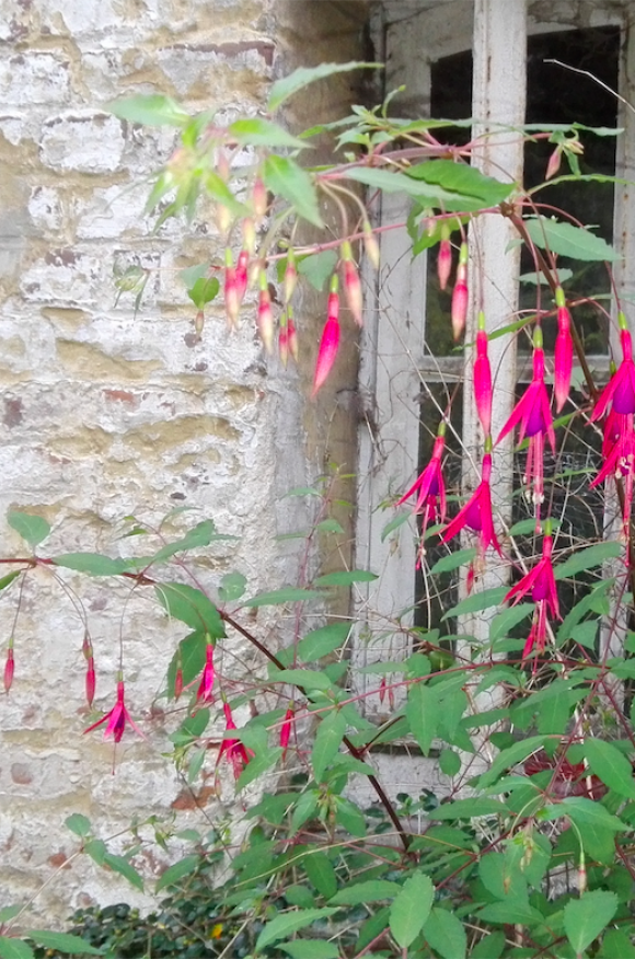 (((keuzes retraites))) 4