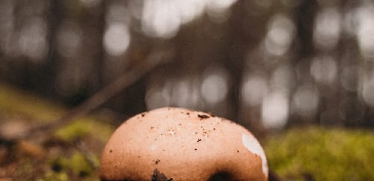 Uw vraag - aanbod op maat 40