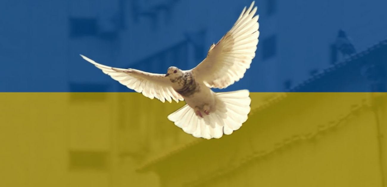 Automatische concepten 3