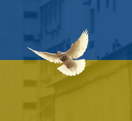 Automatische concepten 3