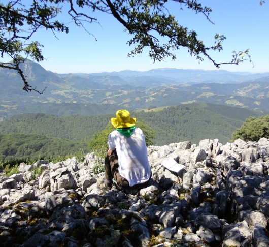 Loyolatocht – Ignatius achterna