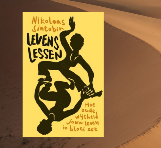 Levenslessen – het nieuwe boek van Nikolaas Sintobin sj