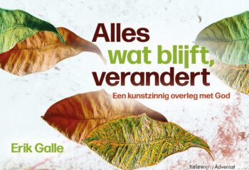BOEK : Erik Galle. Alles wat blijft, verandert
