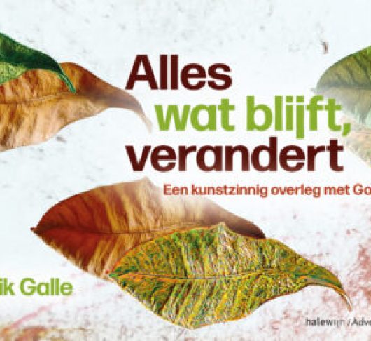 BOEK : Erik Galle. Alles wat blijft, verandert