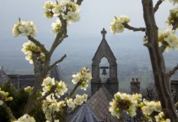 Innerlijke bewegingen en hun psychologische basis