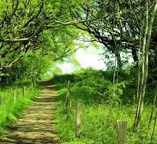 Samen onderscheiden in kleine groepen