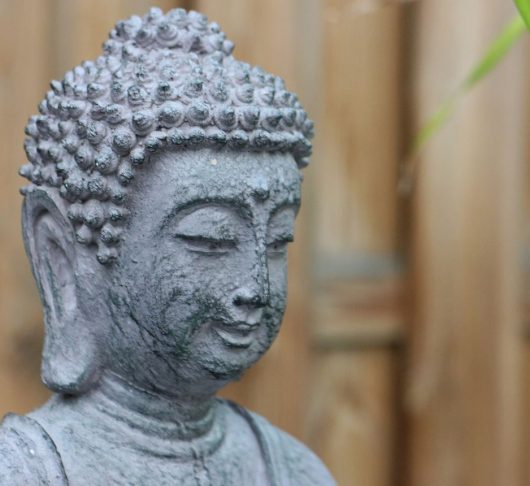 Leren van onze boeddhistische broeders.