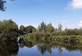 Tien richtlijnen voor ecologische onderscheiding