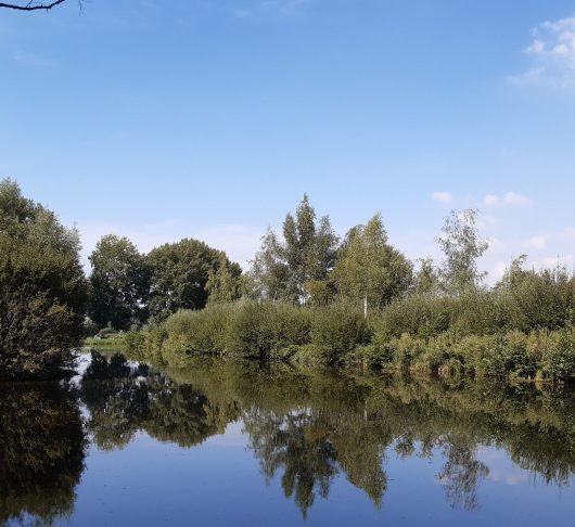 Tien richtlijnen voor ecologische onderscheiding