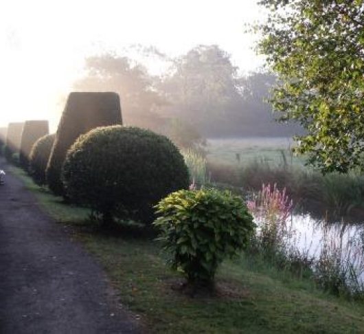 De plaats van emoties in het geestelijk leven