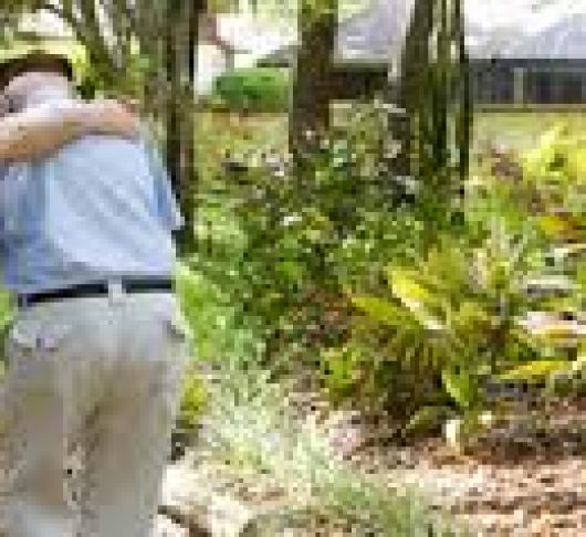 De gave van de oude dag, Oudere jezuïeten in hun eigen woorden.