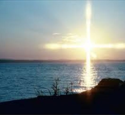 Onderscheiding in vijf concentrische cirkels