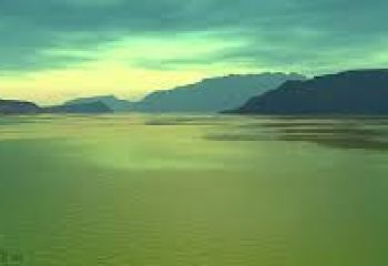 Het verlangen bemind te worden leidt tot de wil om te dienen: jonge mensen begeleiden.