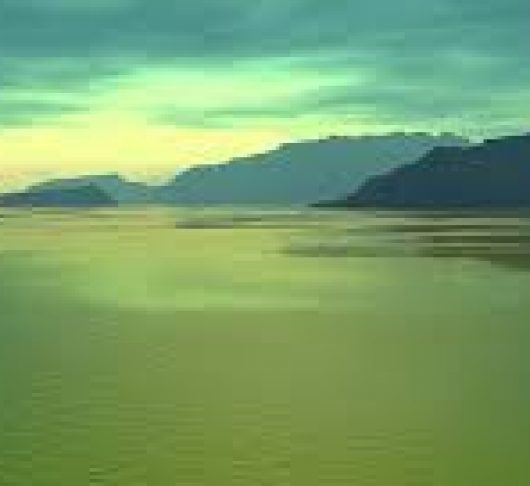 Het verlangen bemind te worden leidt tot de wil om te dienen: jonge mensen begeleiden.