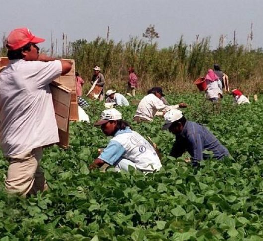 De Geestelijke Oefeningen voor een wereld in beweging