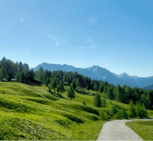 Elementen van geestelijke onderscheiding bij Ignatius van Loyola