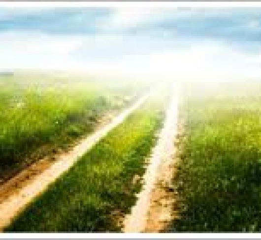 Geleefde kuisheid - Psychoseksueel welbevinden in het jezuïetenleven 2