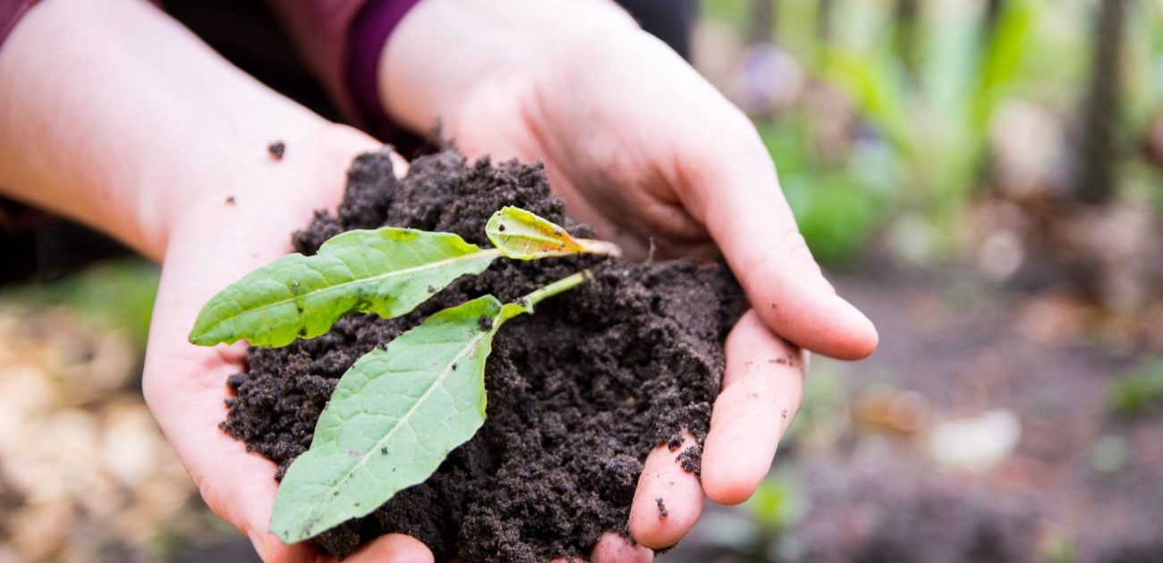 Inspiratie voor de scheppingsmaand