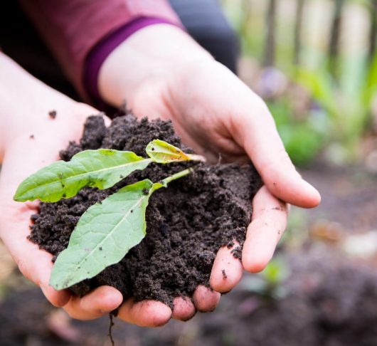 Inspiratie voor de scheppingsmaand