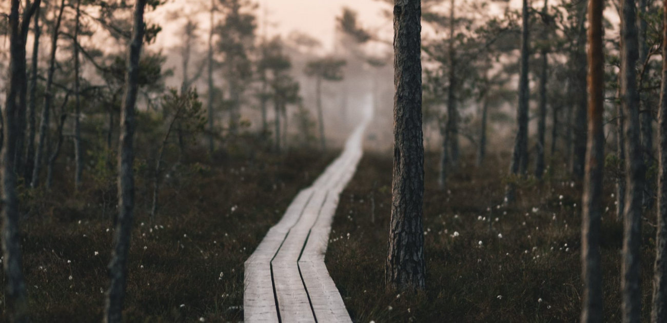 BOEK: Robert Marsh, Imagination, Discernment and Spiritual Direction 1