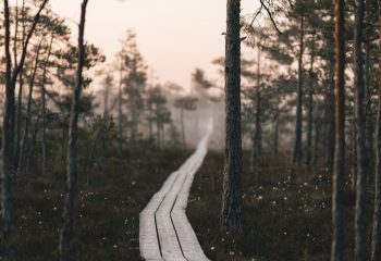 BOEK: Robert Marsh, Imagination, Discernment and Spiritual Direction 1