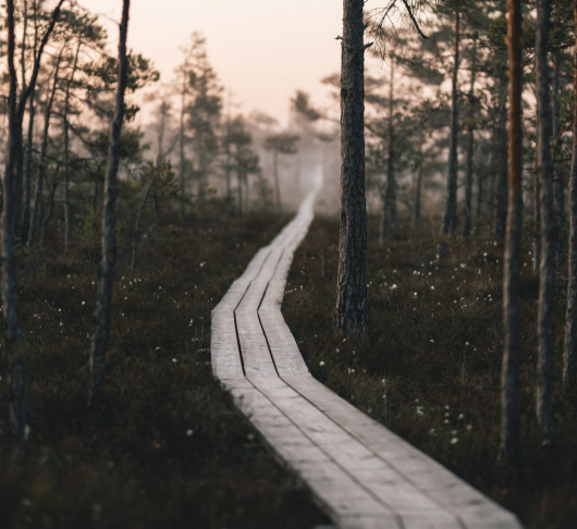 BOEK: Robert Marsh, Imagination, Discernment and Spiritual Direction 1