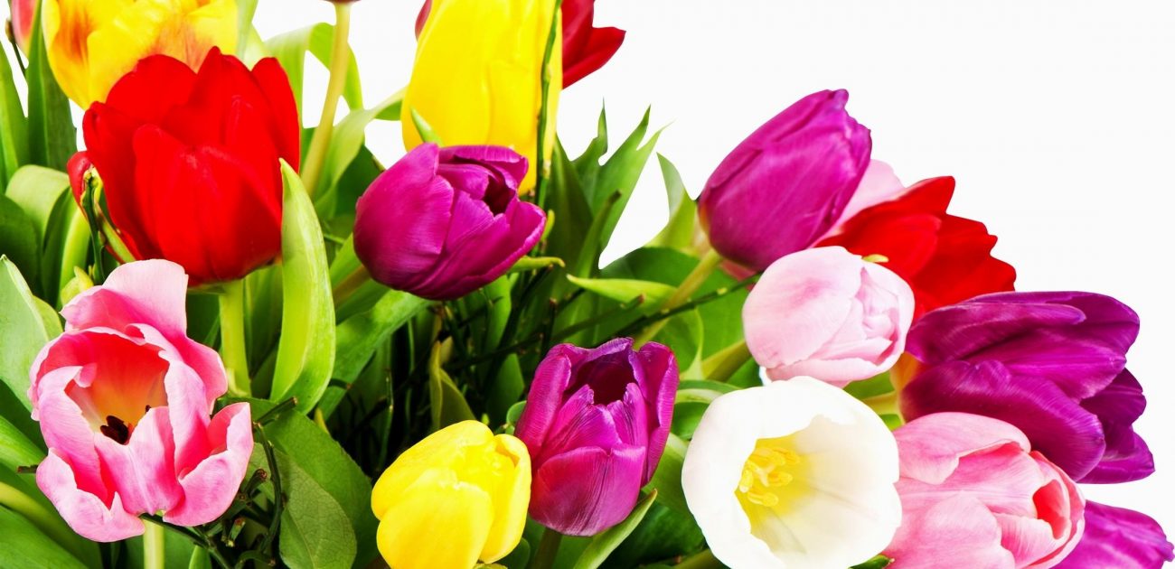 "Elke vermeerdering van hoop, geloof en liefde" (GO 316)