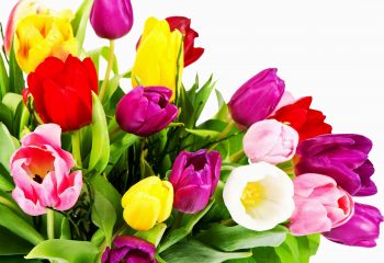 "Elke vermeerdering van hoop, geloof en liefde" (GO 316)